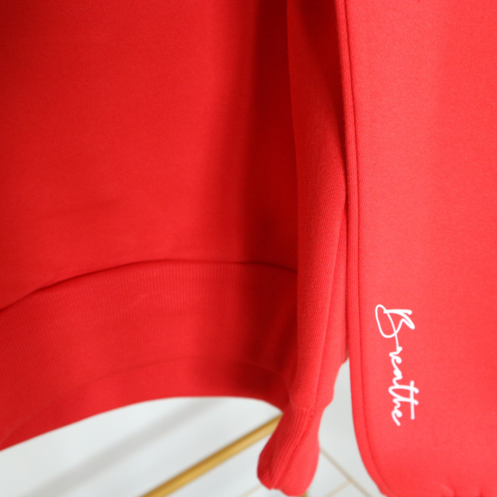 Signature Hoodie | Get Your Six Headspace | Mental Health Hoodie | Soft Red